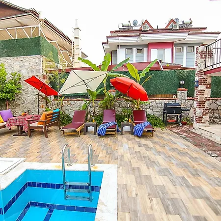 Ilk Ayvilla1