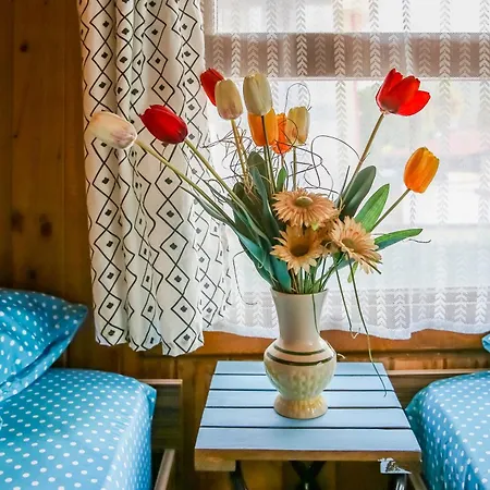 Villa ılk Ayvilla1 Fethiye
